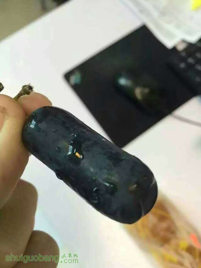 113807gcitik2456e72b22.jpeg