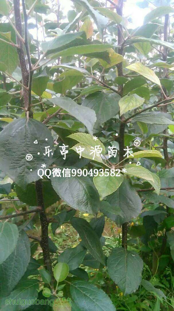 190741gz7tk8v0tuc8cq7e.jpg