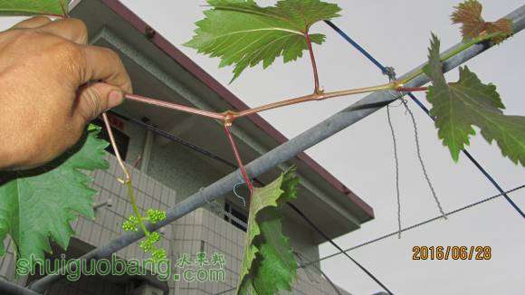 �ռ����� 041.jpg