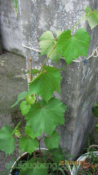 �ռ����� 092.jpg