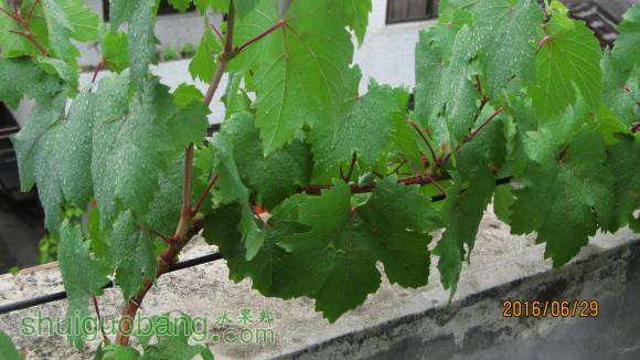 �ռ����� 102.jpg