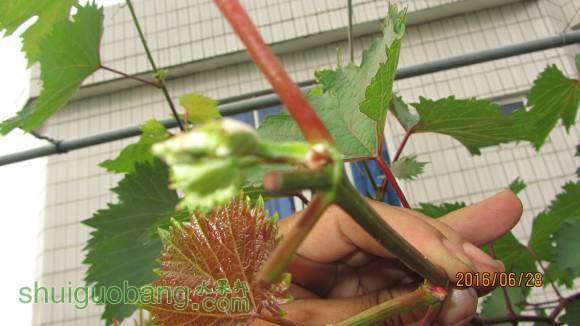 �ռ����� 027.jpg