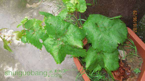 �ռ����� 103.jpg