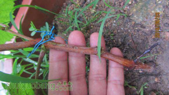 �ռ����� 104.jpg