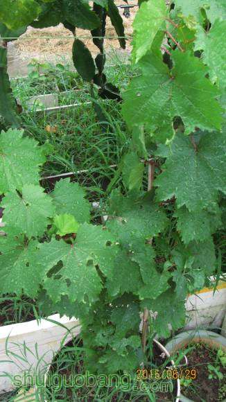 �ռ����� 105.jpg