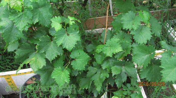 �ռ����� 107.jpg