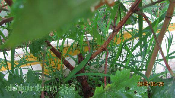 �ռ����� 108.jpg