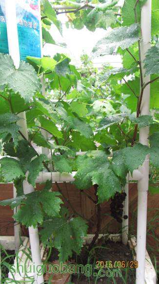 �ռ����� 109.jpg