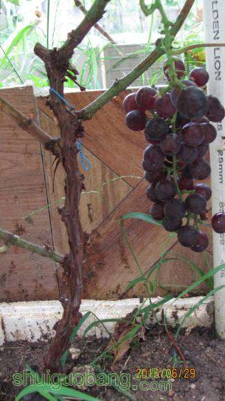 �ռ����� 110.jpg