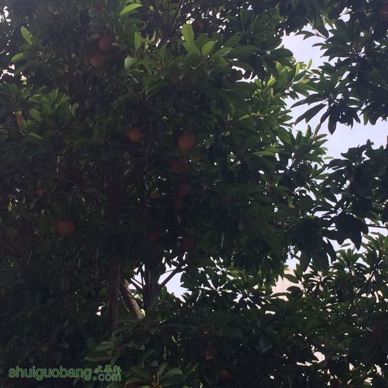180611ncck8lxkuz71uc4z.jpg