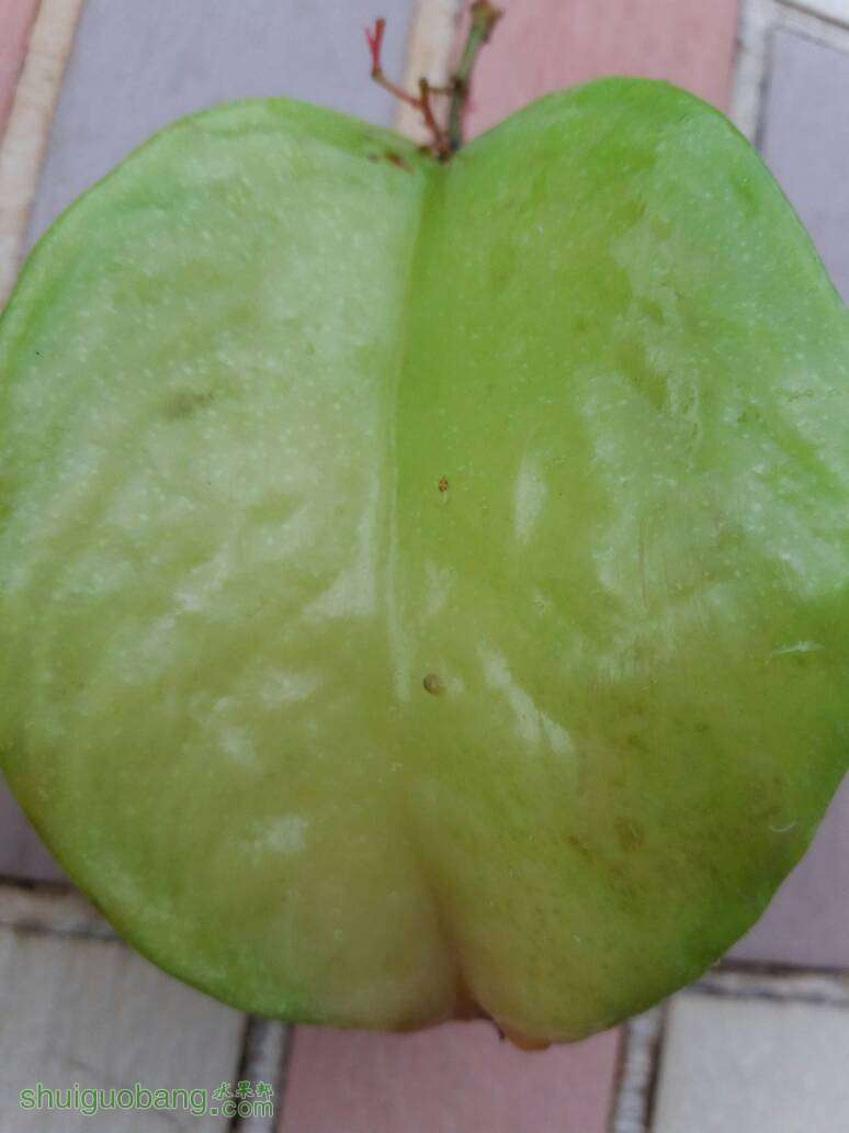 105524j0aoh0gh2ehdahsq.jpg
