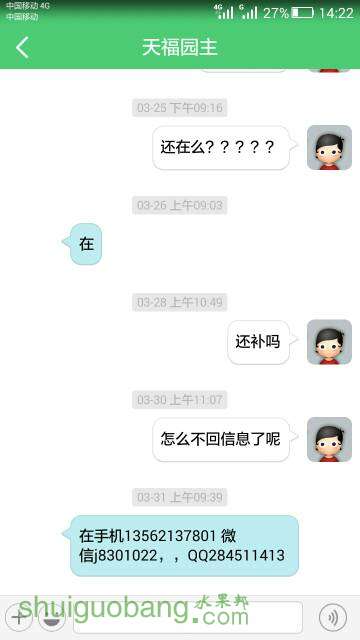 195722gax6oyyy6maidpay.jpeg