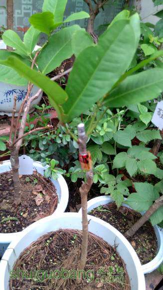 �����鲻�����Ҳð������ѿ��