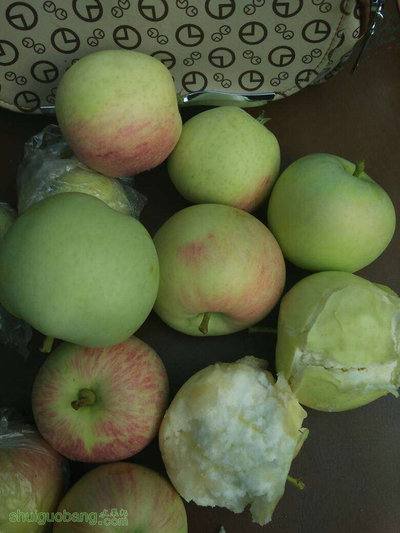 210018pk3keg4p2o23x19n.jpg