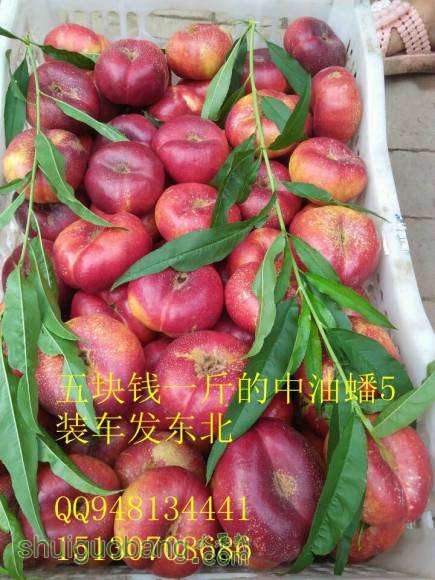 �����5  01_����.jpg