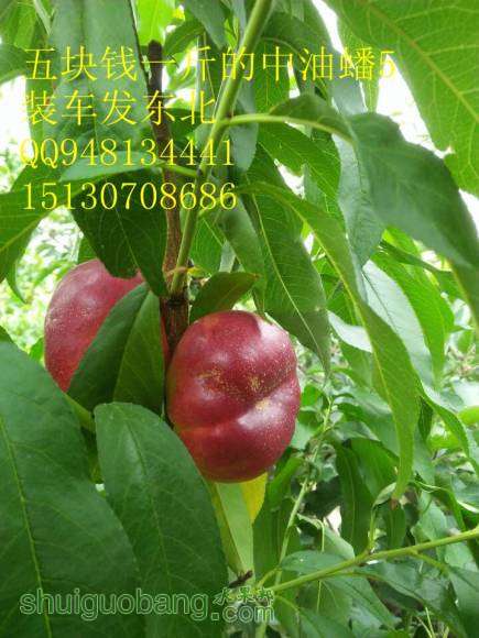 �����5  04_����.jpg