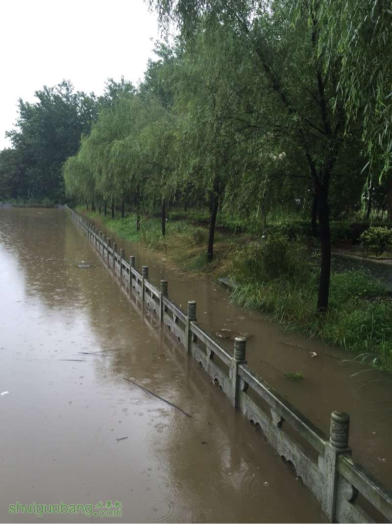 070005ghayoyzv2dgyyt2o.jpg
