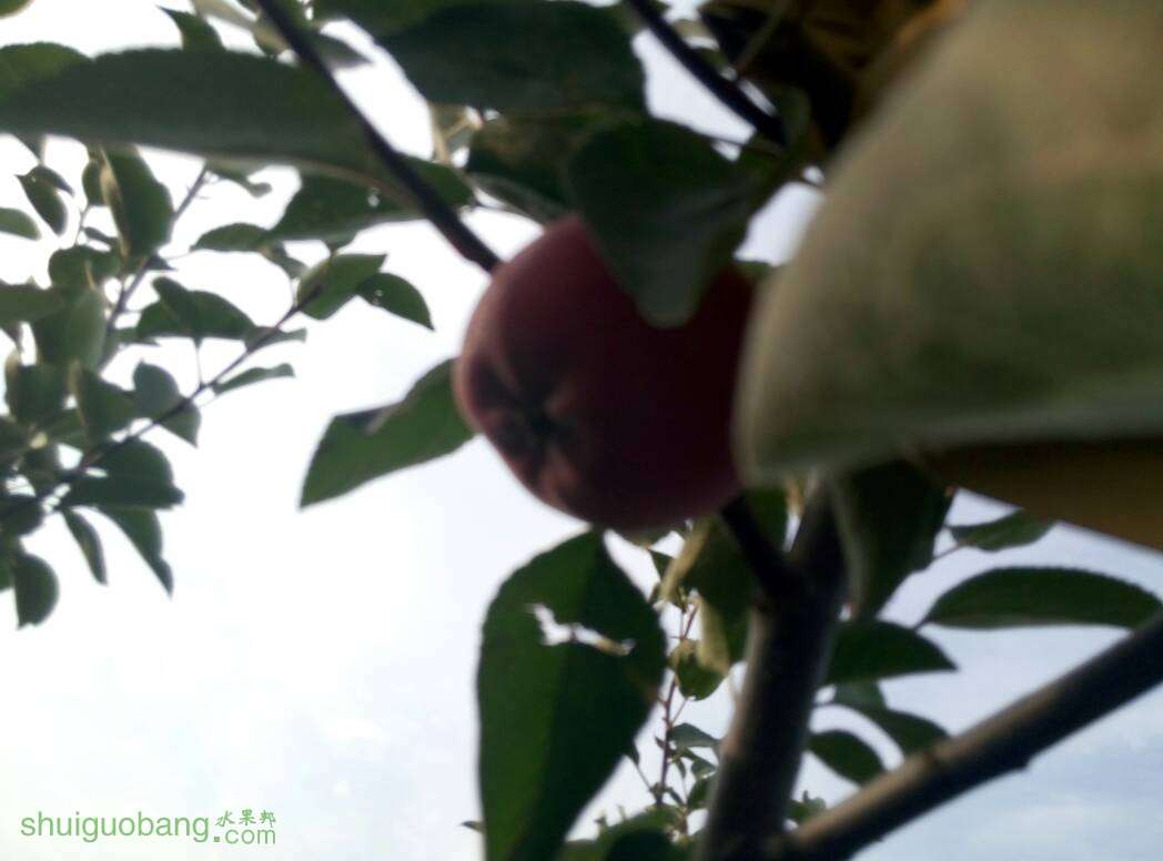 183703s26sd88jfsxy68zx.jpg