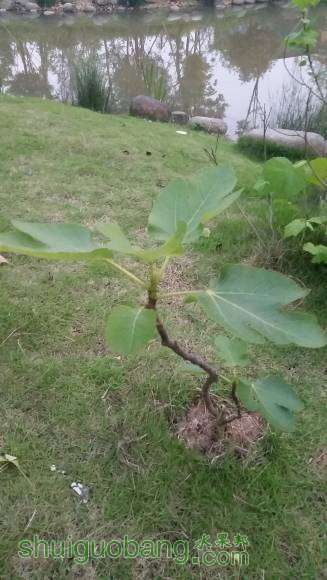 20160429_190753.jpg
