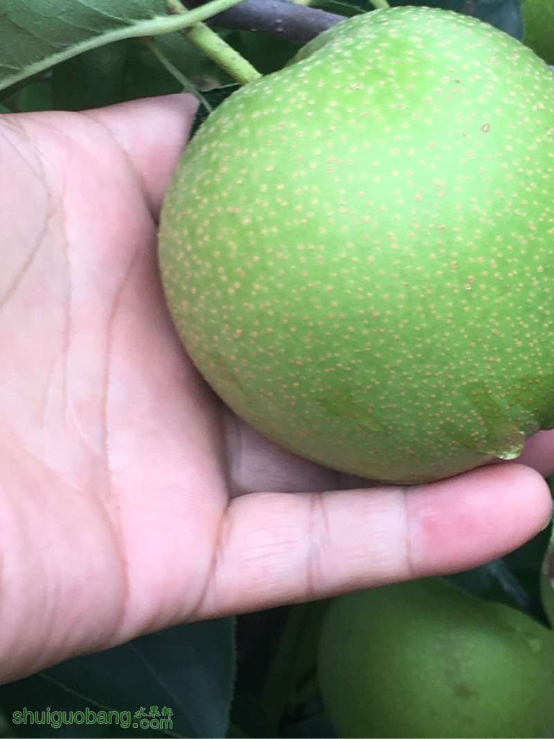 232721vyqaq9g4y5h4egg4.jpg
