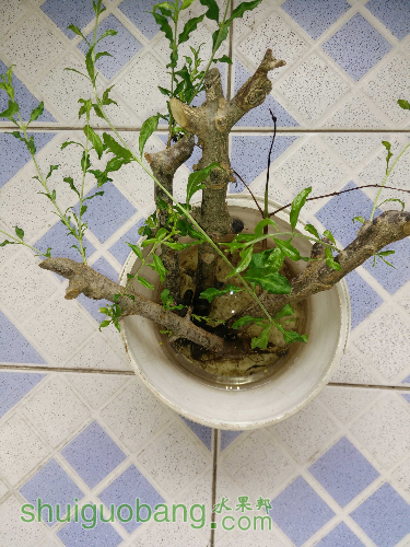 IMG20160701113730.jpg
