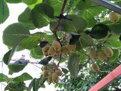 IMG_20160529_163046.jpg