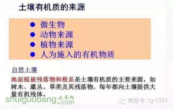 1.webp (1).jpg