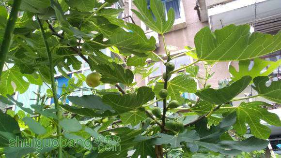 IMG_20160626_170125.jpg