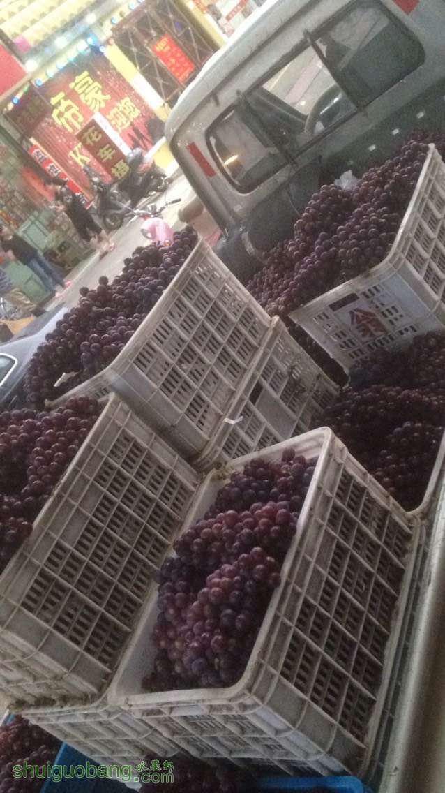 090011xiikuaokfokwkwff.jpg