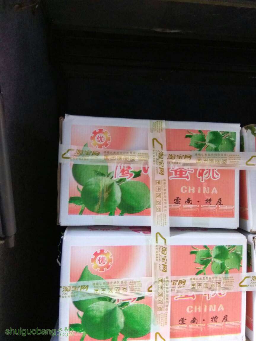 173356jaiqi9aza9hinn1i.jpg