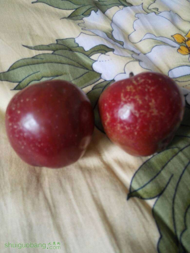 123012w52uqduqewtwezdw.jpg