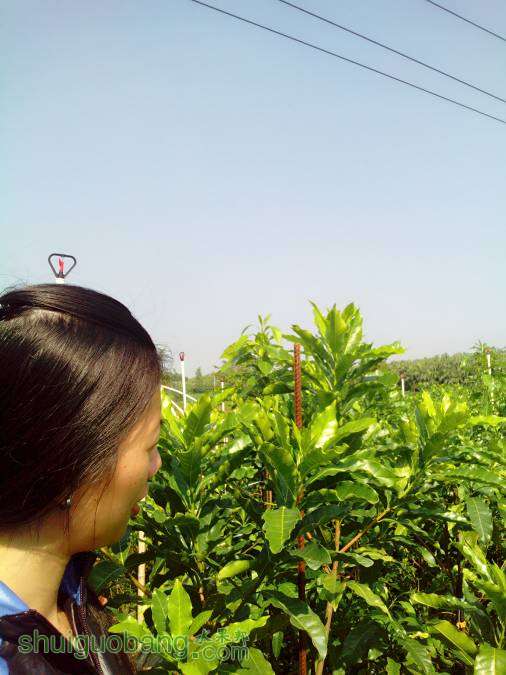 142853it1vqhd9gzc7z7hq.jpg