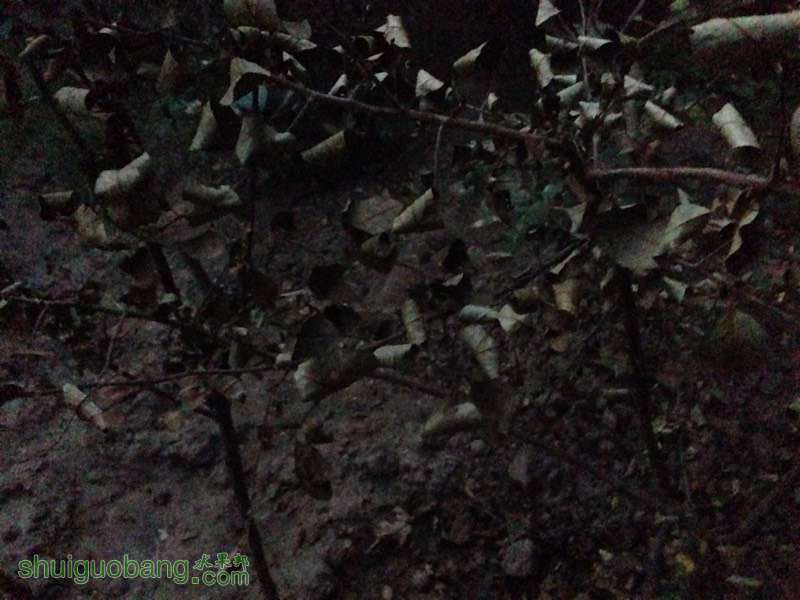 200630m3euu7wii58iv3sj.jpg