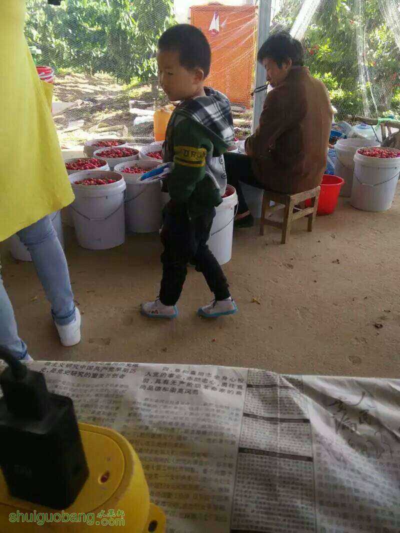 075441ostlqjq8ylbl4zt7.jpeg