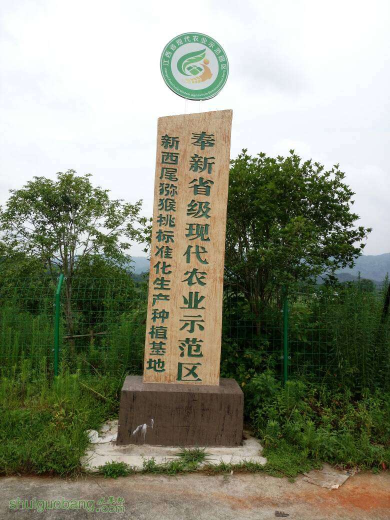 103500mky8dgqy7gmccwwa.jpg
