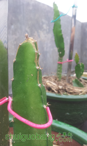 20160617_142521.jpg