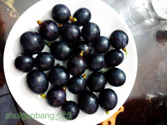DSC_0028.JPG