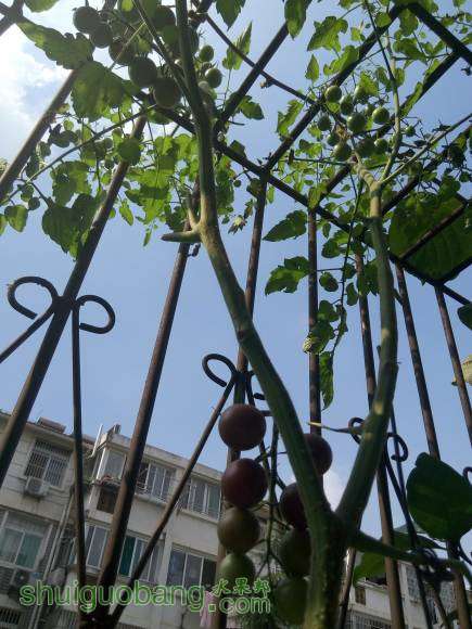 �������һ�����ڸ�����û��ζ��