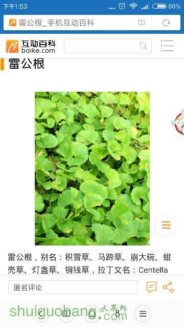 135631ouui0d5dw041ut10.png