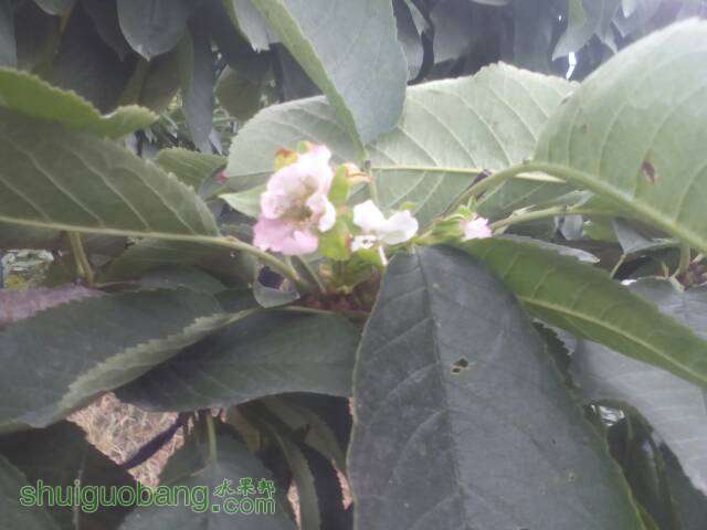 160620t7444pznx7puyi0u.jpg