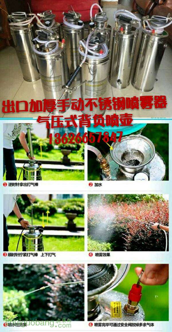 225804z6ntnnq7qq6w586g.jpg
