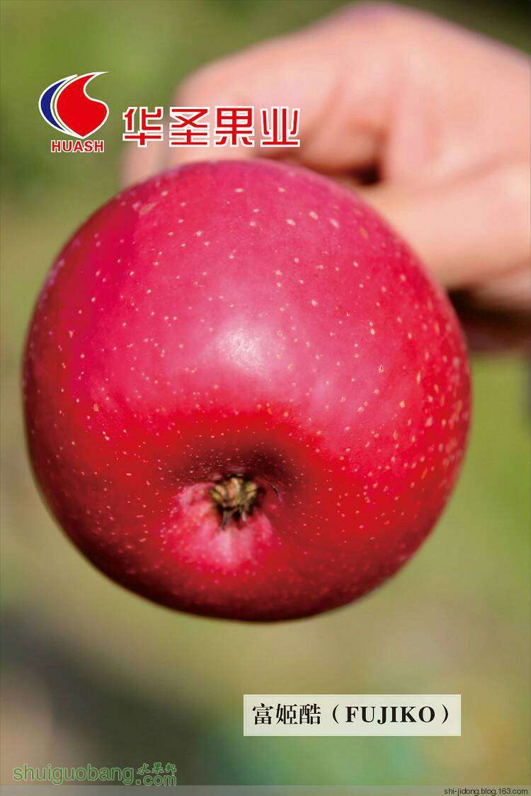 131554nxj41pjxa78j5jv4.jpeg