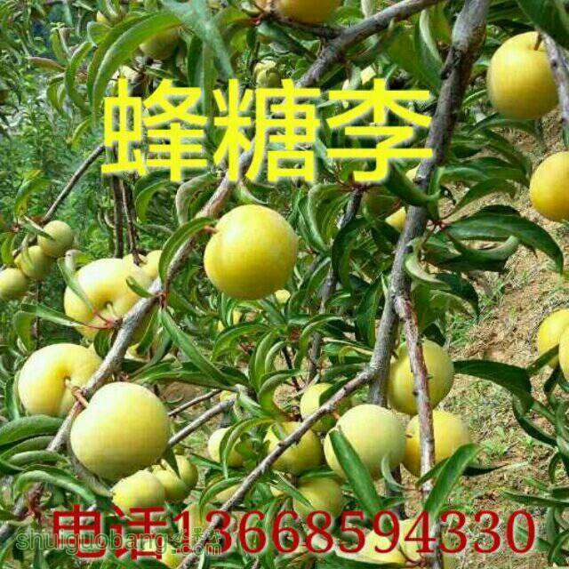143910xw5dd31lu88ww858.jpg