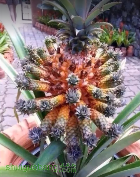 6.png