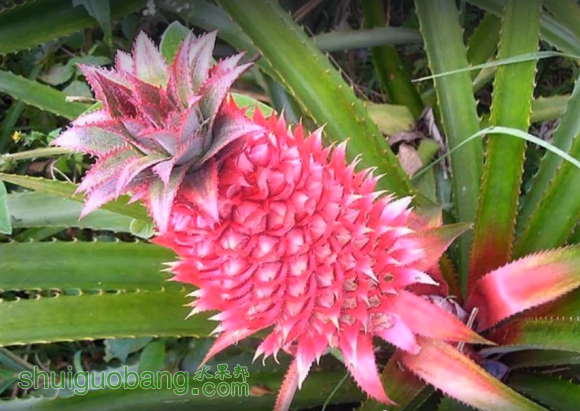 18.png