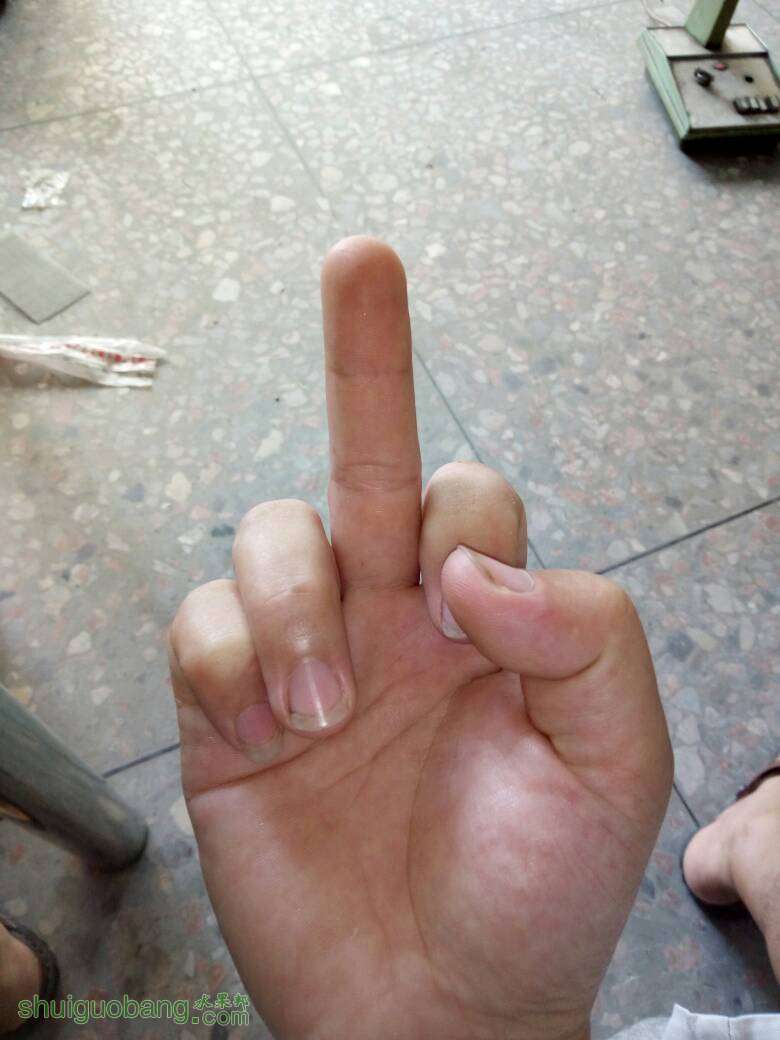 093509bedddjkz8puupllu.jpg