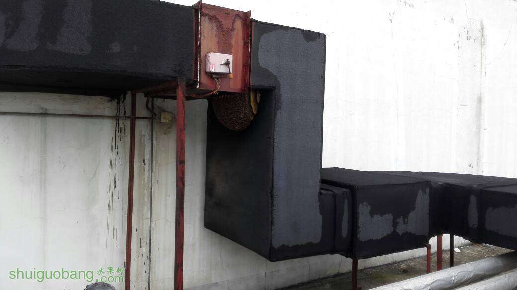 125701y4hvpu7sgw1nhh2z.jpg