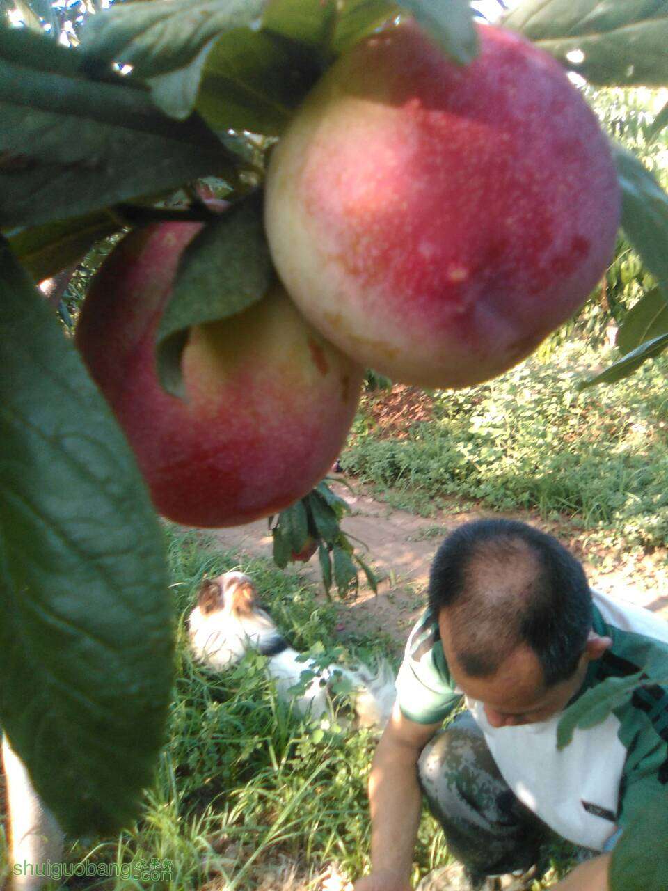 182300jkdrpmdpiy0k90ps.jpg
