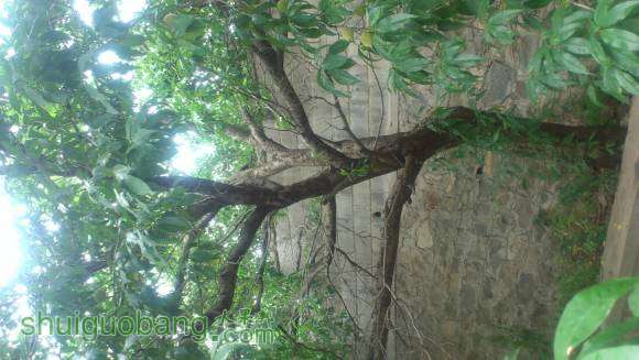 DSC_5732.jpg