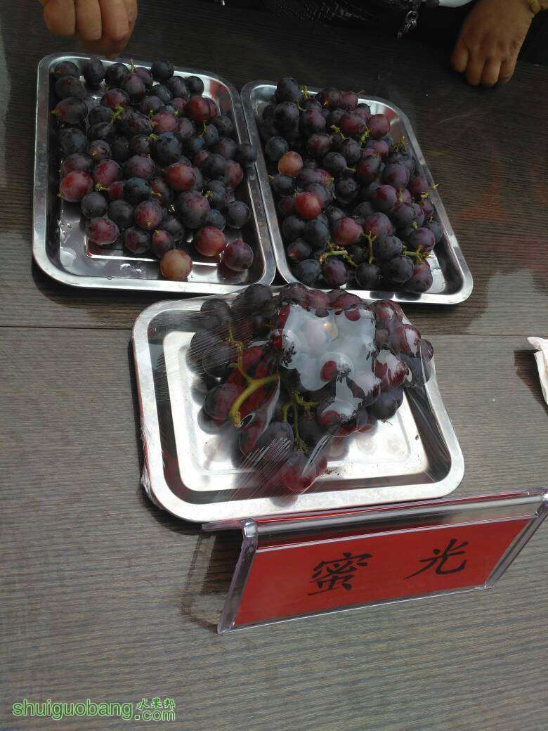 095700sgj8gjmmn92kgmkc.jpg